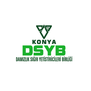 Konya DSYB